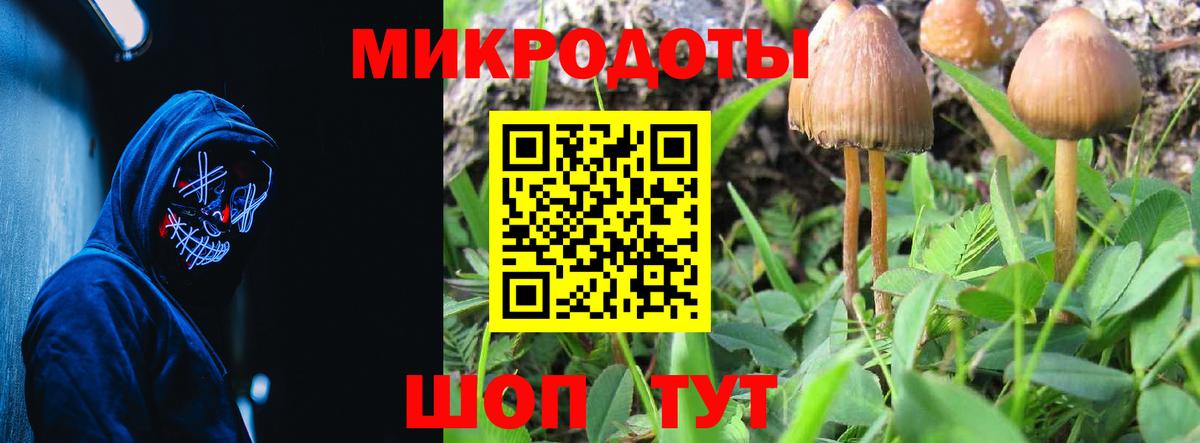 где купить наркоту  Псилоцибиновые грибы GOLDEN TEACHER  Вход с VPN  Кострома 